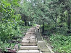 -北京十三陵国家森林公园蟒山景区