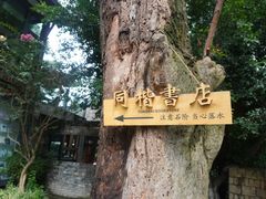 -莫催咖啡
