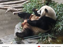 -红山森林动物园