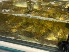 -川骄海鲜自助(河东店)