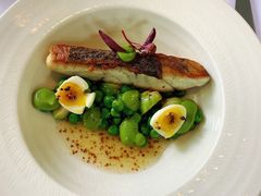 香煎尖吻鱸魚-蝶舍·MAISON PAPILLON