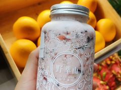 -野萃山·潮汕厚果汁(十亩地店)