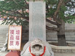 -龙口南山旅游景区