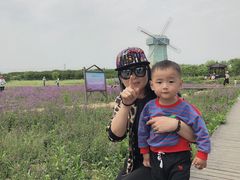 -武汉紫薇都市田园