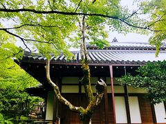 -常寂光寺
