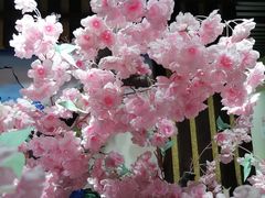 -学习谷日语培训日本留学·多语种外语教学(海淀人大分部)