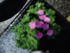 -湊湊火锅·茶憩(皇姑万象汇店)