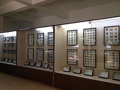 -下渚湖国家湿地公园科普馆