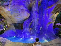 -杭州开元森泊度假乐园