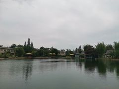 -抚仙湖万达文华酒店