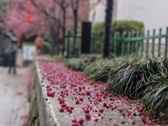 -乌山风景区