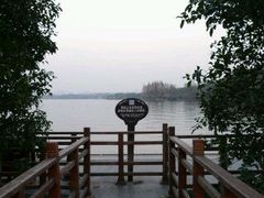 -西湖外事游船(花港观鱼码头)