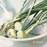 🌵一组超写实的水彩静物绘画步骤！