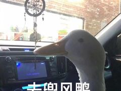 -南湖胖子砂锅(五福街店)