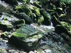-关门山森林公园
