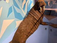 -国家自然博物馆