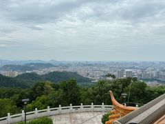 -金山植物公园