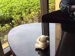 -常州环球恐龙城维景国际大酒店