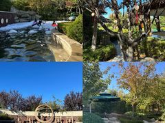 -大连金石滩绿发温泉假日酒店