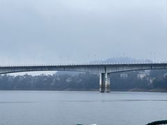 -千岛湖城中湖游船码头