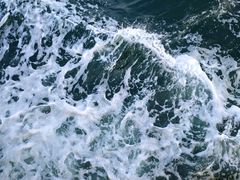 -海驴岛(荣成市)