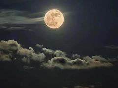 -BLUEO蓝猩先生·正品授权店(凯德Mall店)