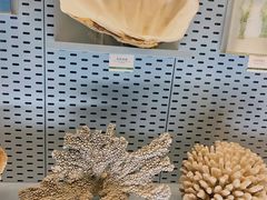 -浙江自然博物院(杭州馆)