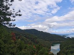 -千岛湖城中湖游船码头