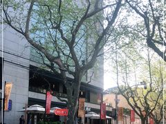-Peet's 皮爷咖啡(东湖路手作店)