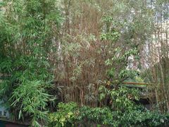 -渔乡米香·剁椒鱼头(四方坪店)