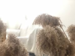 -CAKE WANG千层制造所(省府店)