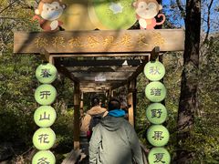 -大岭沟猕猴桃谷风景区