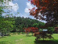 -四明山国家森林公园