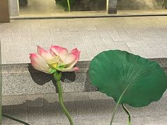 -新渝城·始于2000年(淘金店)