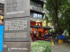 -泡桐树街