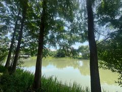 -同里国家湿地公园