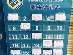 -美迦爱-动物医院·骨科·牙科·夜诊(朝阳路诊疗中心)