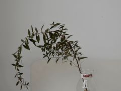 -UNIUNI(凯瑟琳广场店)