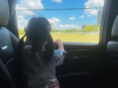 -春花秋色城市公园