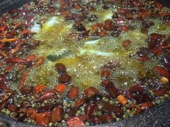 -雲蜀龙阁·金牌水煮鱼(方庄店)