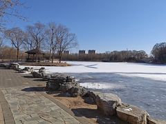 -大兴滨河森林公园