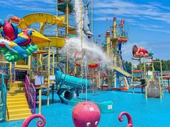 -秦皇岛乐岛海洋王国