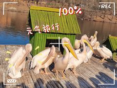 -沈阳森林动物园