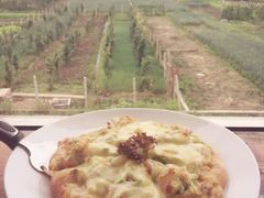 -翠田Green Field Kitchen