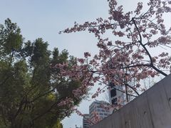 -静安雕塑公园
