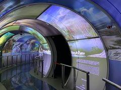 -房山世界地质公园博物馆