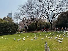 -人民广场