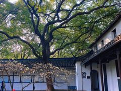 -西园戒幢律寺