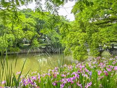 -江心屿景区
