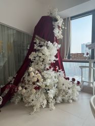 -ST时柒·问题肌抗衰美颜所